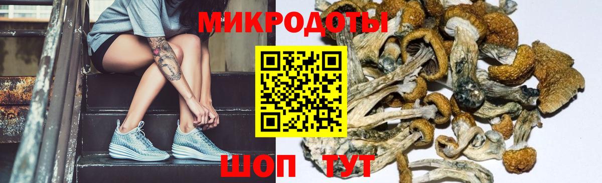 Псилоцибиновые грибы прущие грибы Советский