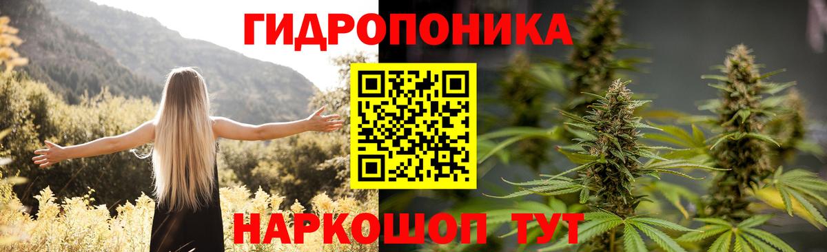 Бошки марихуана SATIVA & INDICA Советский